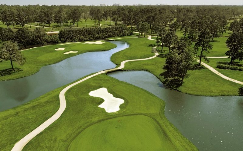 Myrtlewood Pine Hills