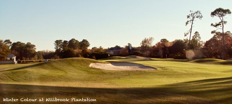 Willbrook Plantation