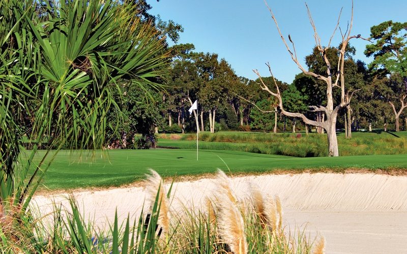 Fazio Course at Palmetto Dunes