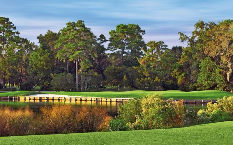 Hills Palmetto Dunes