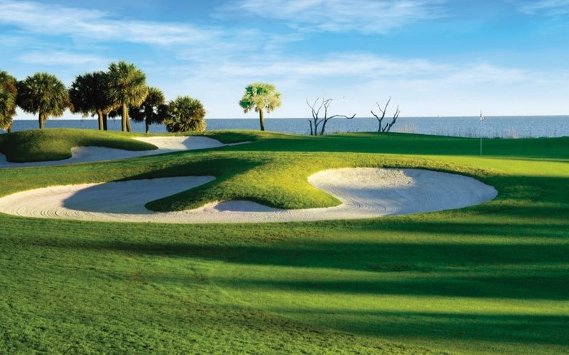 RTJ Palmetto Dunes