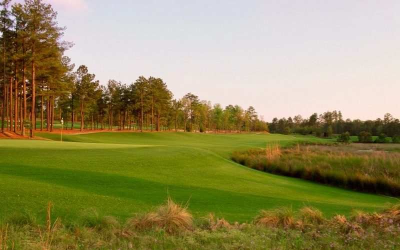 Pinehurst Resort No. 8