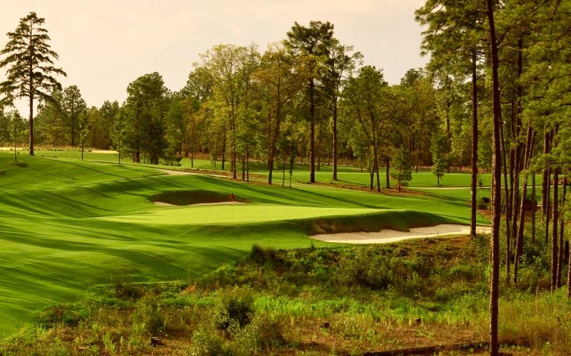 Pinehurst Resort No. 8